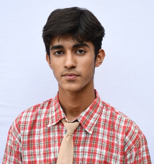 Krishna Dedha